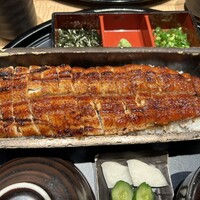 うなぎ四代目菊川 ミッドランドスクエア 名古屋本店 - 