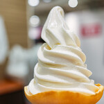 北海道どさんこプラザ - 料理写真: