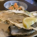 Sashimi to Nihonshu Nami ni Chidori