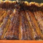 駿河屋 - ふわトロ食感は関東風ウナギの美味しさ
