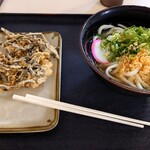 手打ちうどん政 - 料理写真: