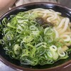 立花うどん