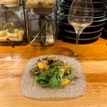 タケル クインディチ - 地野菜のサラダ 