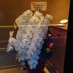 伯雲 - お祝いの花の数々