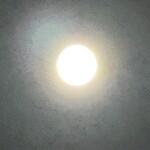 藤江屋分大 - お月様なのですが、電球にしか見えない…（泣）