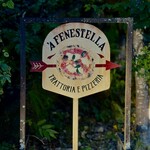 A Fenestella