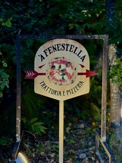 A Fenestella