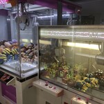 フェリーおおさかⅡ レストラン - おっ？