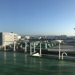 フェリーおおさかⅡ レストラン - 大阪南港を見渡す