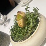 ラ・ヴァガボンド - 