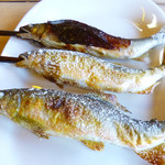 杉ケ瀬ヤナ - 鮎の塩焼きと鮎の味噌田楽(2014年）