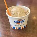 ブルーシール - 