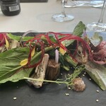 ミクニ ヨコハマ - 前菜