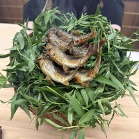 日本料理 久丹 - 