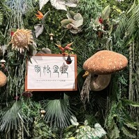 Shangri-La’s secret 表参道店 - 