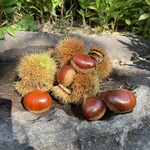 小布施堂 えんとつ - 