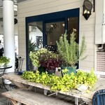 Curry&herb Cherry blossom - 