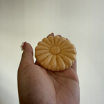 いさおと豆の木 - 