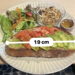 はしら - 全長19㎝のビックサイズ！
      サックリ軽くほのかな酵母の酸味と
      全粒粉の風味豊かなハードブレッド
      綺麗なアボカドと軽くマリネされたトマトの相性◎
      “美味しい”が止まらないオープンサンドに出会ってしまった