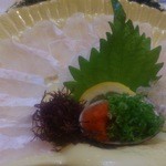 魚将　さかなちゃん - ゴマアラ