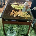 ガーデンハウス藤苑 - 