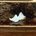 鮨処 乾杯 - 先付けのタコの吸盤