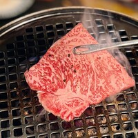 杏樹亭 - 