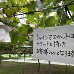 まるよし果樹園 - 