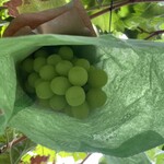 まるよし果樹園 - 