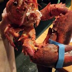 きまぐれダイニング まほろば - 