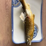 矢祭山観光センター - 