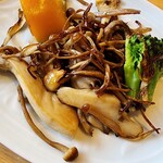 倉敷甲羅本店 - 