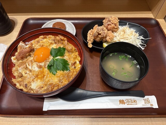 Tori Sanwa Lucua Osaka Ten