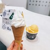 YASUDA YOGURT CoCoLo新潟店