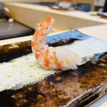 THE SUSHI TOKYO 旬 - ◆車海老、半茹で(すだちとお塩)