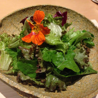 素透撫 - メインの肉料理です。