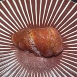 北新地 寿司馬光 - 