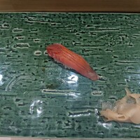 すし蔵 - 