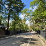 桜の里 - 角館の武家屋敷通りの様子