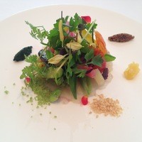 レストラン・モリエール - ヒラメのカルパッチョ　ハーブサラダ添え