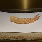 天婦羅 くすのき 中目黒店 - 車海老 (塩)
