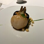 レフェルヴェソンス - 