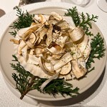 レフェルヴェソンス - 