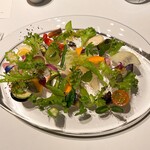 レフェルヴェソンス - 