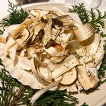 レフェルヴェソンス - 