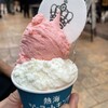 熱海ジェラートキング