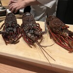 鮨処 一石三鳥 - 