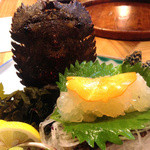 魚将　さかなちゃん - 『草履えび』様（1600円～）さっきまで生きていたのも分かるほどの鮮度と食感！