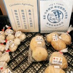 BeachHouseStyleCafe sunflower - 藍陽農園さん♡