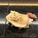 鮨 聖心 - ホッキ貝